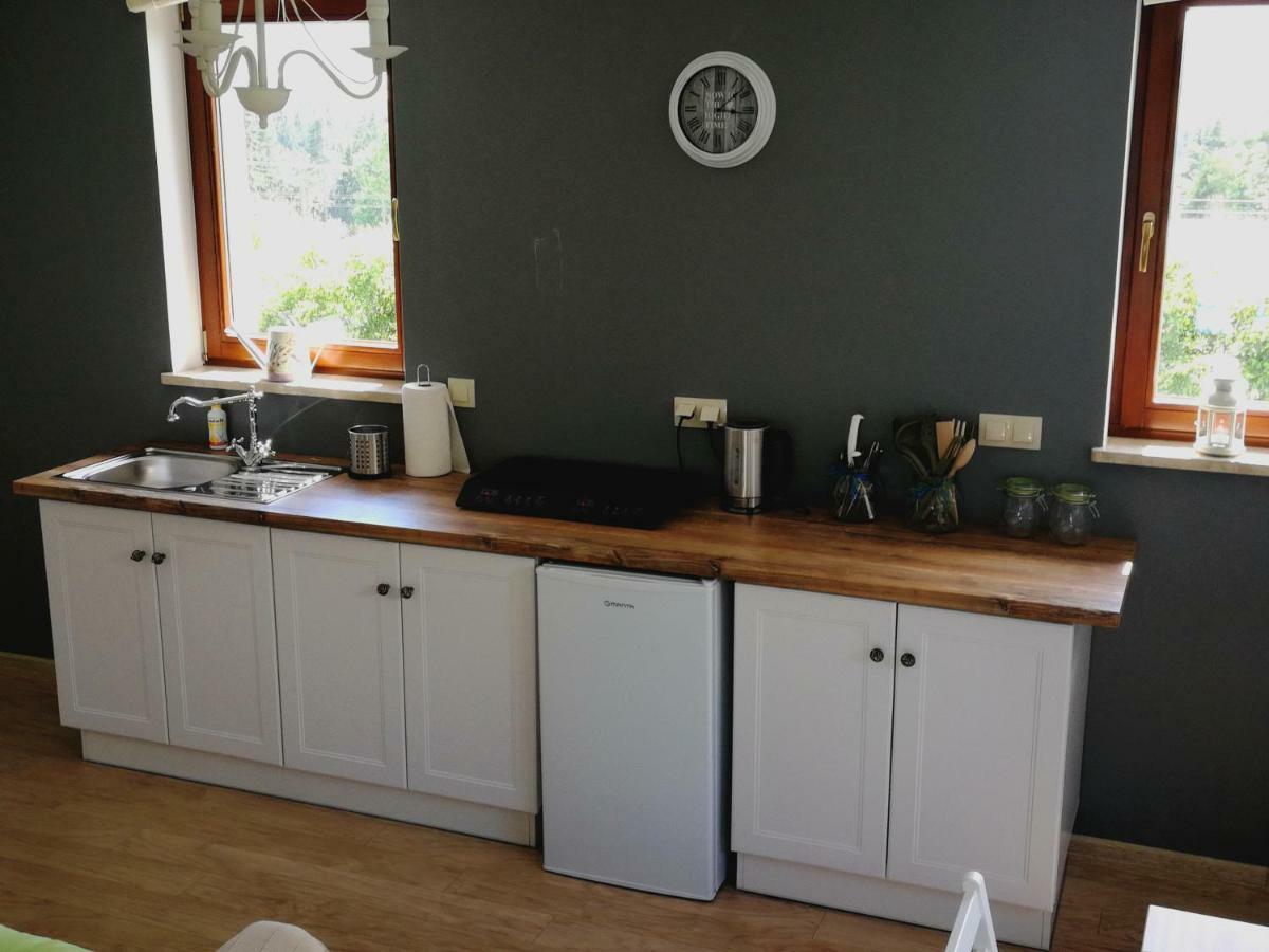 Apartamenty w Gorach Stolowych Szczytna Zewnętrze zdjęcie