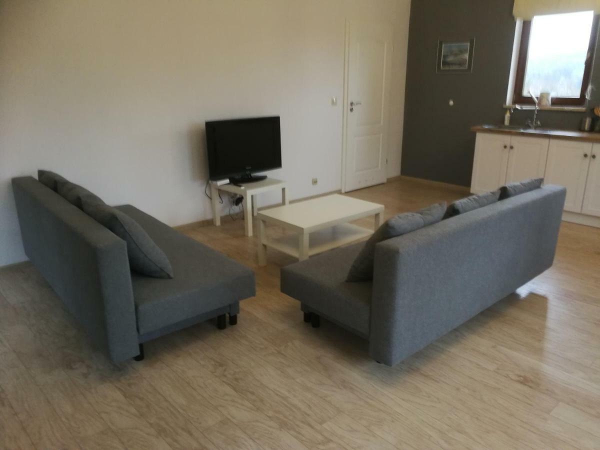Apartamenty w Gorach Stolowych Szczytna Zewnętrze zdjęcie